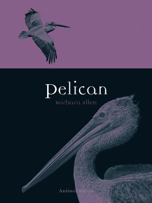 cover image of Pelican